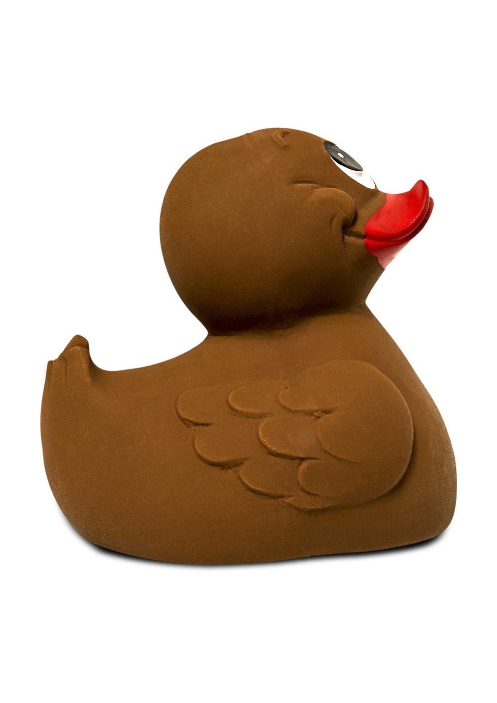 Logo floating duck