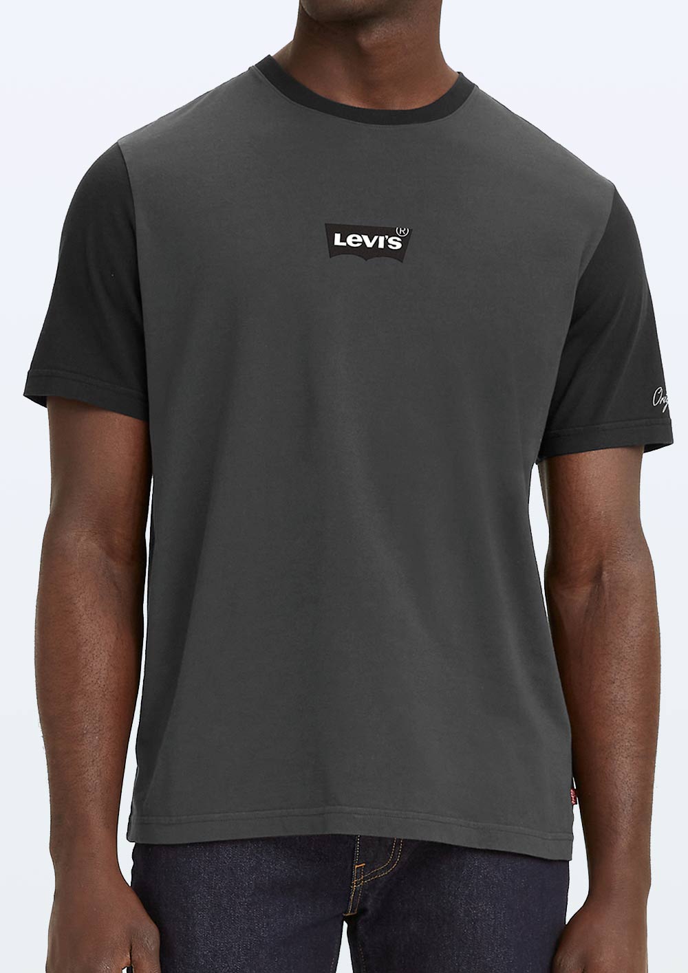 Levis x FCSP T-Shirt grau-schwarz
