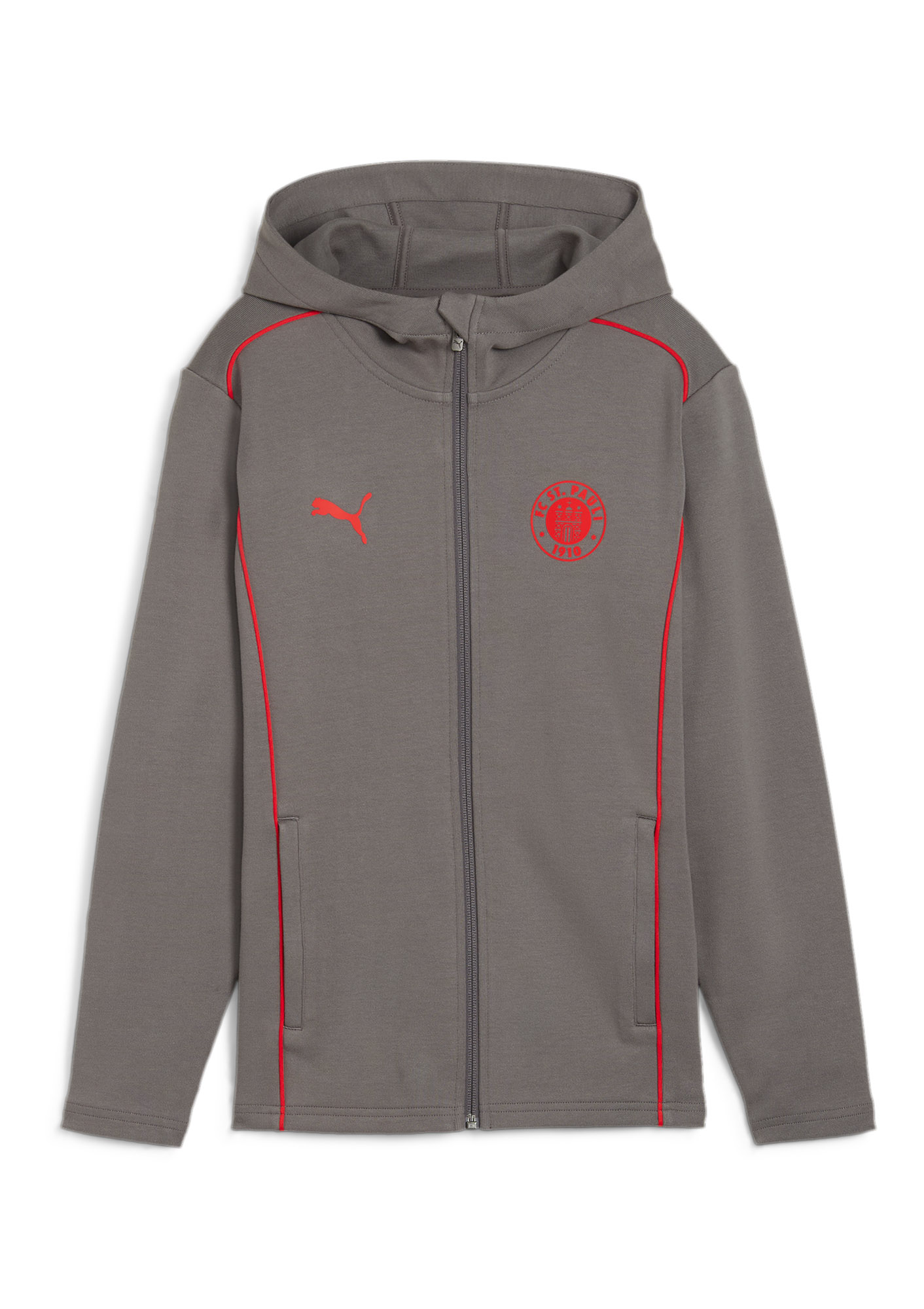 Puma - Kinder Kapuzenjacke Team grau 2024-25